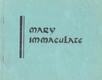 Mary Immaculate - Blueprint of the New Man